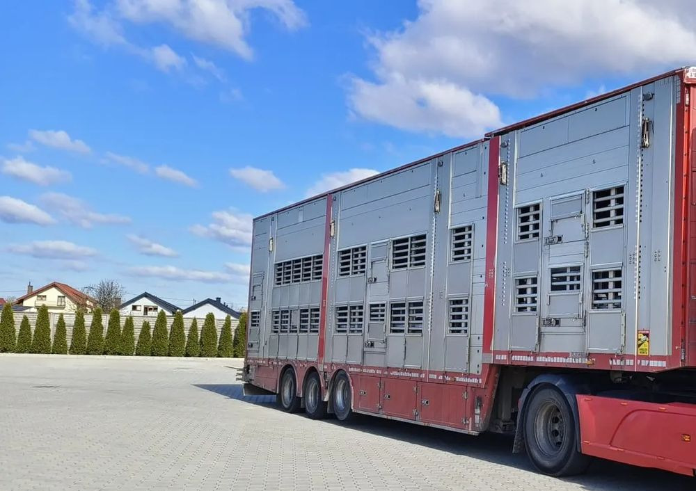 Pezzaioli SBA32/hydrauliczny dach/hydrauliczna rampa/ 3 poziomy/ 2xbydło -3xtrzoda/wentylatory/poidła/sterowanie pilotem - Veewagen oplegger: afbeelding 2 Pezzaioli SBA32/hydrauliczny dach/hydrauliczna rampa/ 3 poziomy/ 2xbydło -3xtrzoda/wentylatory/poidła/sterowanie pilotem - Veewagen oplegger: afbeelding 2