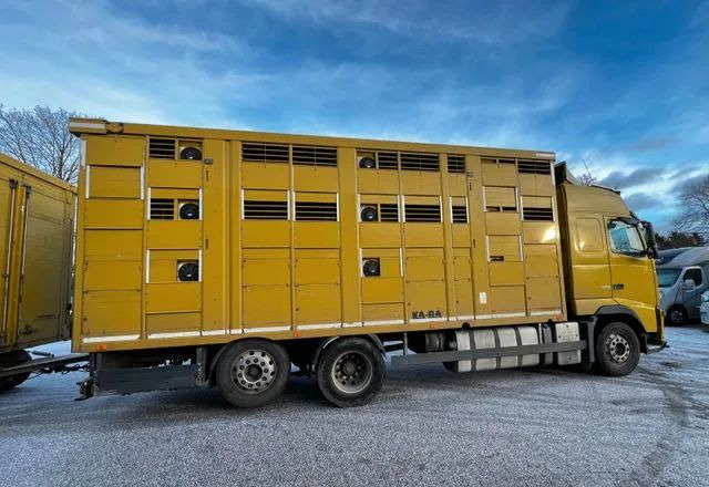 Volvo FH 420 • KABA • Transport Zwierząt 3xŚwinie/ 2xBydło 3-piętrowy • Euro 5 • Retarder • Oś podnoszona i skrętna - Veewagen vrachtwagen: afbeelding 2 Volvo FH 420 • KABA • Transport Zwierząt 3xŚwinie/ 2xBydło 3-piętrowy • Euro 5 • Retarder • Oś podnoszona i skrętna - Veewagen vrachtwagen: afbeelding 2