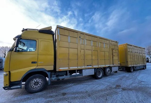 Volvo FH 420 • KABA • Transport Zwierząt 3xŚwinie/ 2xBydło 3-piętrowy • Euro 5 • Retarder • Oś podnoszona i skrętna - Veewagen vrachtwagen: afbeelding 1 Volvo FH 420 • KABA • Transport Zwierząt 3xŚwinie/ 2xBydło 3-piętrowy • Euro 5 • Retarder • Oś podnoszona i skrętna - Veewagen vrachtwagen: afbeelding 1