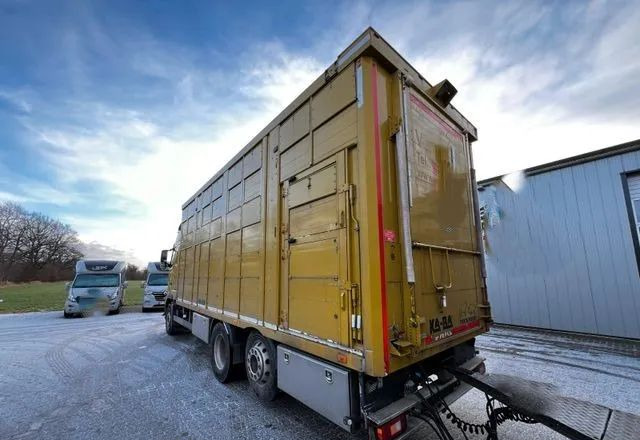 Volvo FH 420 • KABA • Transport Zwierząt 3xŚwinie/ 2xBydło 3-piętrowy • Euro 5 • Retarder • Oś podnoszona i skrętna - Veewagen vrachtwagen: afbeelding 4 Volvo FH 420 • KABA • Transport Zwierząt 3xŚwinie/ 2xBydło 3-piętrowy • Euro 5 • Retarder • Oś podnoszona i skrętna - Veewagen vrachtwagen: afbeelding 4
