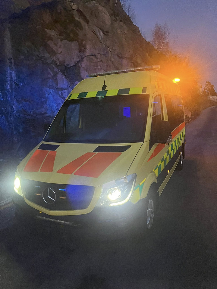 Leasing MERCEDES-BENZ Sprinter 319 - Light AMBULANCE / shvydka dopomo MERCEDES-BENZ Sprinter 319 - Light AMBULANCE / shvydka dopomo: afbeelding 36