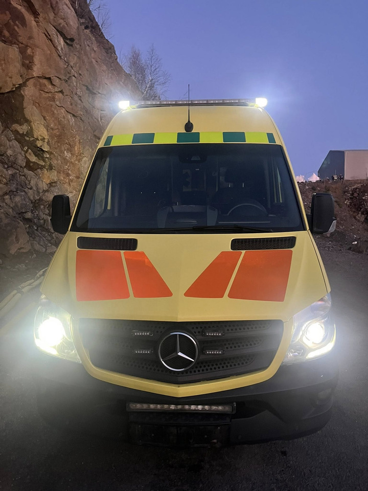 Leasing MERCEDES-BENZ Sprinter 319 - Light AMBULANCE / shvydka dopomo MERCEDES-BENZ Sprinter 319 - Light AMBULANCE / shvydka dopomo: afbeelding 31