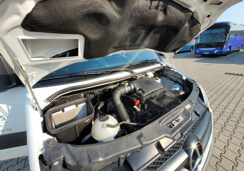 Minibus, Personenvervoer Mercedes-Benz 513 SPRINTER TRANSFER / SPROWADZONY/ MANUAL: afbeelding 6 Minibus, Personenvervoer Mercedes-Benz 513 SPRINTER TRANSFER / SPROWADZONY/ MANUAL: afbeelding 6