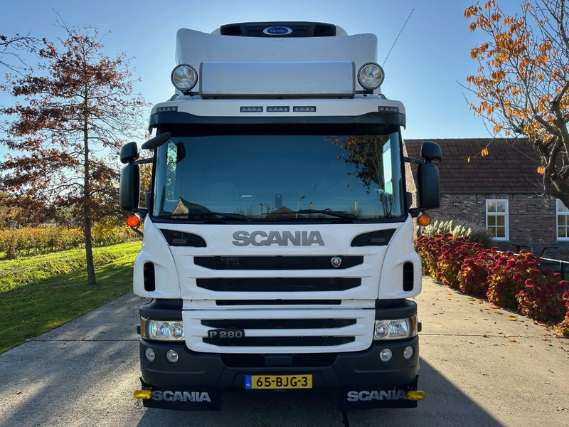 Scania P280 / NL TRUCK / EURO 6 / FULL AIR / CARRIER SUPRA 1250 / TOPCONDITION / LIFT+DOORS - Koelwagen vrachtwagen: afbeelding 2 Scania P280 / NL TRUCK / EURO 6 / FULL AIR / CARRIER SUPRA 1250 / TOPCONDITION / LIFT+DOORS - Koelwagen vrachtwagen: afbeelding 2