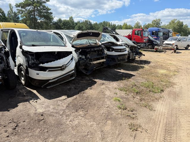 Toyota Proace L1 Kasten Meister ERSATZTEILENSPENDER - Kleine bestelwagen: afbeelding 3 Toyota Proace L1 Kasten Meister ERSATZTEILENSPENDER - Kleine bestelwagen: afbeelding 3