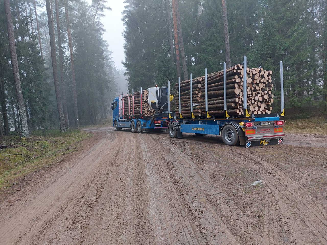 Hydrofast Przyczepa 2 osiowa do drewna stosowego HFP2/2-axle timber trailer HFP2 - Hout aanhanger: afbeelding 3 Hydrofast Przyczepa 2 osiowa do drewna stosowego HFP2/2-axle timber trailer HFP2 - Hout aanhanger: afbeelding 3