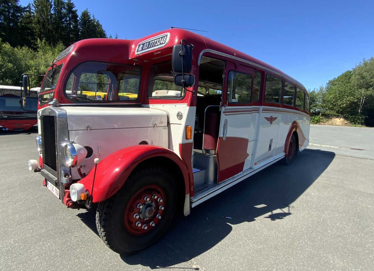 Leyland Tiger TS6 - Bus: afbeelding 2 Leyland Tiger TS6 - Bus: afbeelding 2