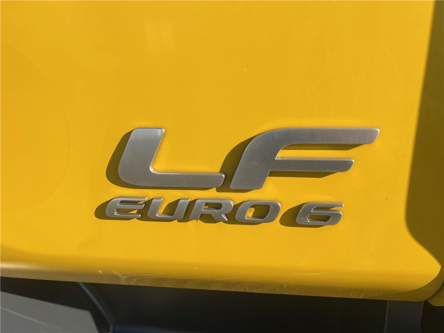 Vrachtwagen met open laadbak DAF LF 310: afbeelding 14 Vrachtwagen met open laadbak DAF LF 310: afbeelding 14