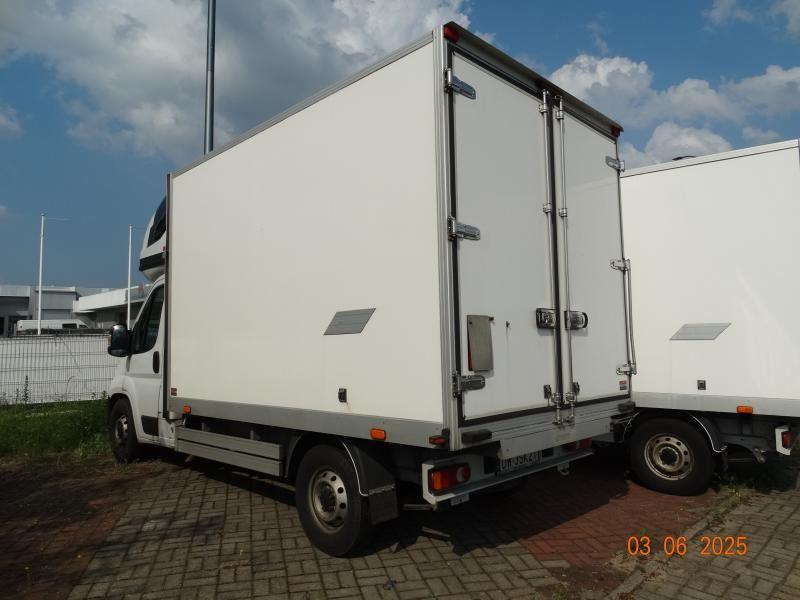 FIAT DUCATO CHŁODNIA/IZOTERMA - Koelwagen: afbeelding 3 FIAT DUCATO CHŁODNIA/IZOTERMA - Koelwagen: afbeelding 3