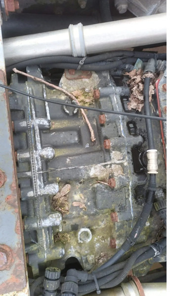 Renault Premium 420 Dci Engine + Automatic Gearbox - Motor voor Vrachtwagen: afbeelding 5 Renault Premium 420 Dci Engine + Automatic Gearbox - Motor voor Vrachtwagen: afbeelding 5