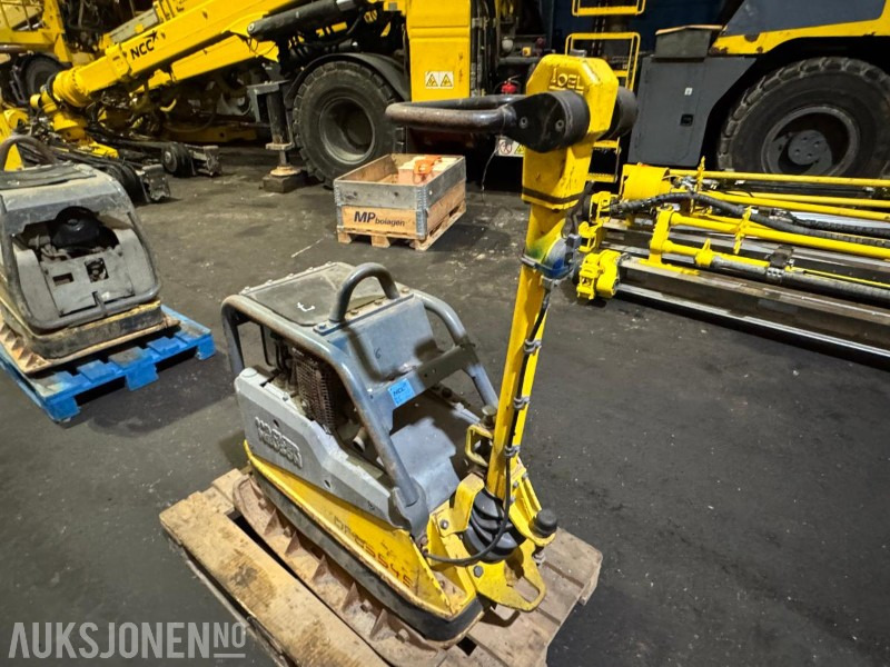 2013 Wacker Neuson DPU 5545 He vibroplate - Wals: afbeelding 3 2013 Wacker Neuson DPU 5545 He vibroplate - Wals: afbeelding 3