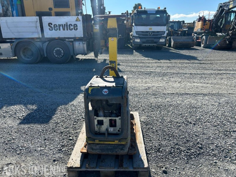 2020 Wacker Neuson Dpu 5545 - Wals: afbeelding 2 2020 Wacker Neuson Dpu 5545 - Wals: afbeelding 2