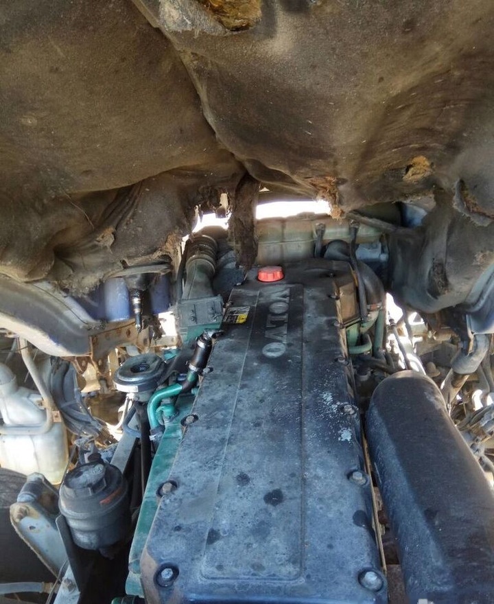 Volvo D12C 460 E3 Volvo FH 12 - Motor voor Vrachtwagen: afbeelding 1 Volvo D12C 460 E3 Volvo FH 12 - Motor voor Vrachtwagen: afbeelding 1