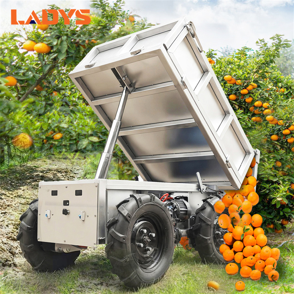 LADYS All-Terrain Four-Wheel Drive And Eight-Wheel Drive Transport Truck, Mountain Area Farm Orchard Greenhouse Construction Site Creeper Remote Control Electric Agricultural Transport Vehicle - Quad: afbeelding 2 LADYS All-Terrain Four-Wheel Drive And Eight-Wheel Drive Transport Truck, Mountain Area Farm Orchard Greenhouse Construction Site Creeper Remote Control Electric Agricultural Transport Vehicle - Quad: afbeelding 2