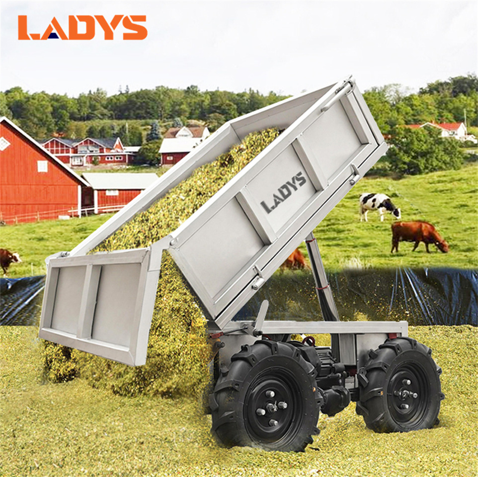 LADYS D-600 All-Terrain Four-Wheel Drive And Eight-Wheel Drive Transport Truck, Mountain Area Farm Orchard Greenhouse Construction Site Creeper Remote Control Electric Agricultural Transport Vehicle - Quad: afbeelding 3 LADYS D-600 All-Terrain Four-Wheel Drive And Eight-Wheel Drive Transport Truck, Mountain Area Farm Orchard Greenhouse Construction Site Creeper Remote Control Electric Agricultural Transport Vehicle - Quad: afbeelding 3