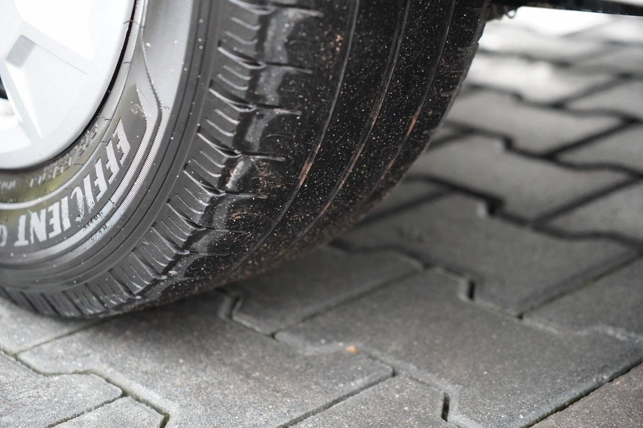 Personenvervoer Renault TRAFIC III / BUS / 9 MIEJSC / PIERWSZY WŁAŚCICIE: afbeelding 19 Personenvervoer Renault TRAFIC III / BUS / 9 MIEJSC / PIERWSZY WŁAŚCICIE: afbeelding 19