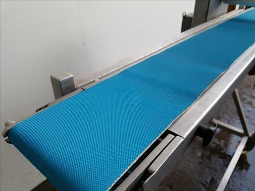 NNP Stainless conveyor - Transportband: afbeelding 2 NNP Stainless conveyor - Transportband: afbeelding 2