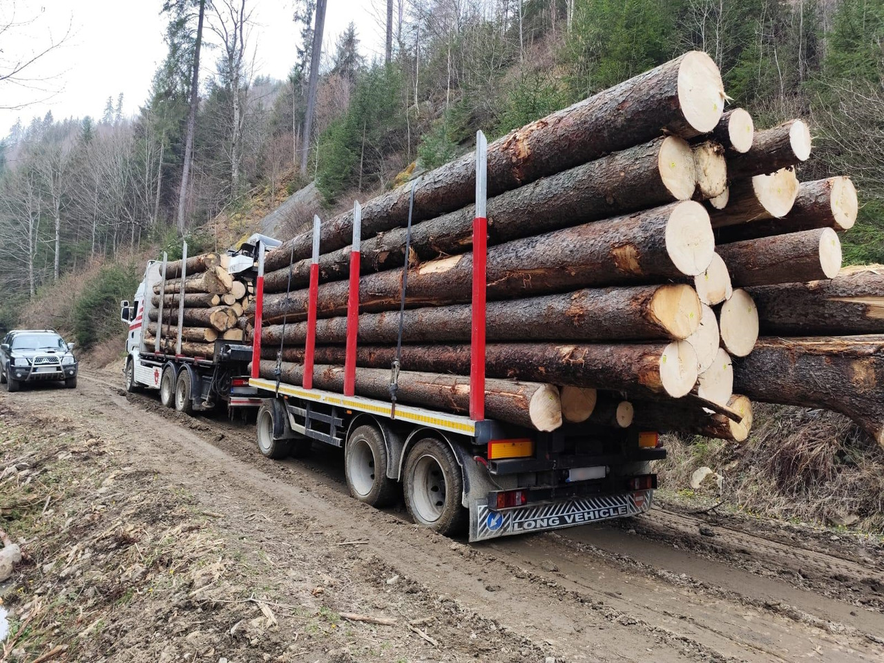 SCANIA R560 V8 - Houttransport, Kraanwagen: afbeelding 5 SCANIA R560 V8 - Houttransport, Kraanwagen: afbeelding 5