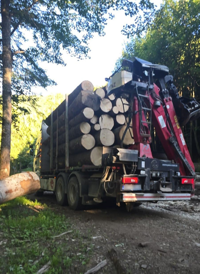 SCANIA R560 V8 - Houttransport, Kraanwagen: afbeelding 3 SCANIA R560 V8 - Houttransport, Kraanwagen: afbeelding 3