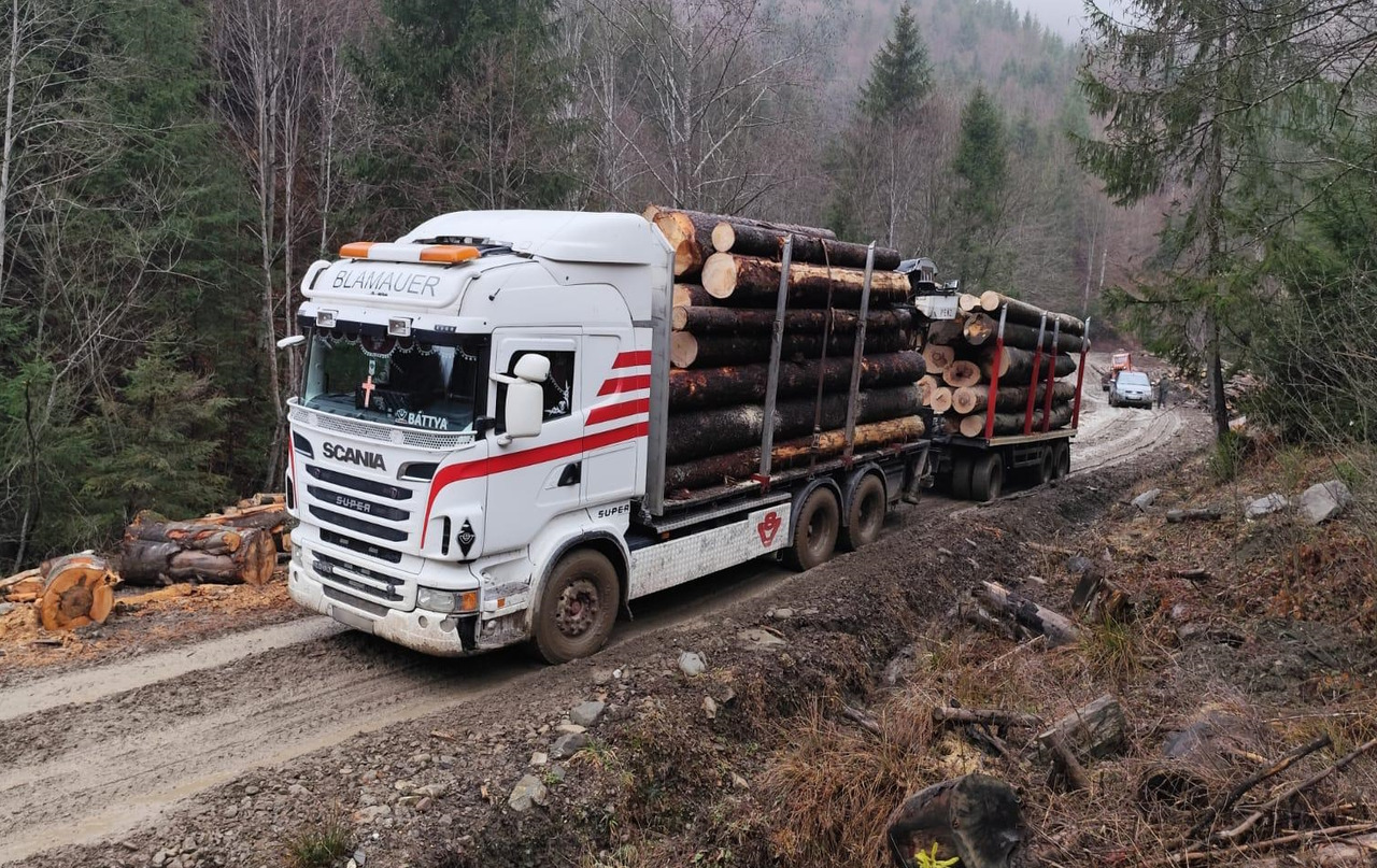 SCANIA R560 V8 - Houttransport, Kraanwagen: afbeelding 2 SCANIA R560 V8 - Houttransport, Kraanwagen: afbeelding 2