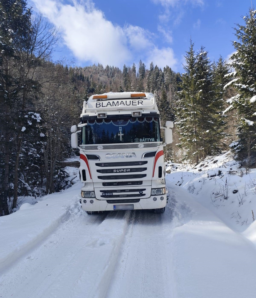 SCANIA R560 V8 - Houttransport, Kraanwagen: afbeelding 4 SCANIA R560 V8 - Houttransport, Kraanwagen: afbeelding 4