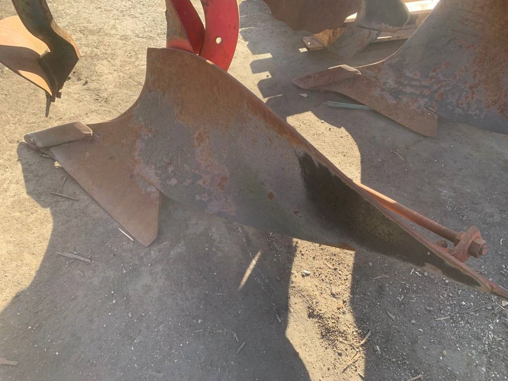 Vogel & Noot 5 - Ploeg: afbeelding 5 Vogel & Noot 5 - Ploeg: afbeelding 5