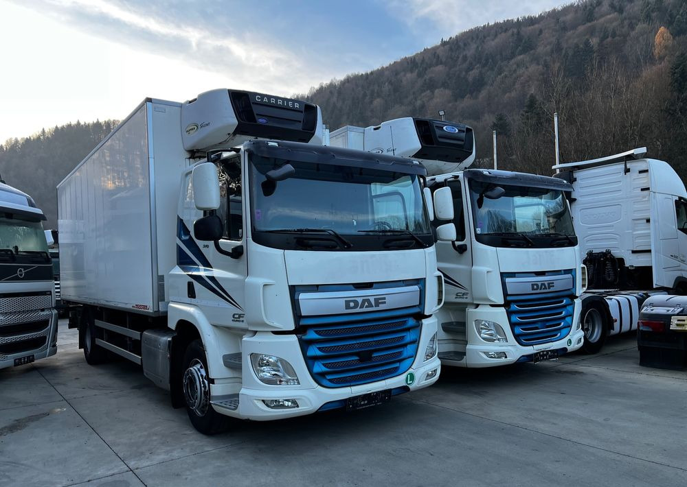 DAF CF370 // Chłodnia Carrier Supra 850 // Sypialka // 2017 Rok // ACC // - Koelwagen vrachtwagen: afbeelding 3 DAF CF370 // Chłodnia Carrier Supra 850 // Sypialka // 2017 Rok // ACC // - Koelwagen vrachtwagen: afbeelding 3