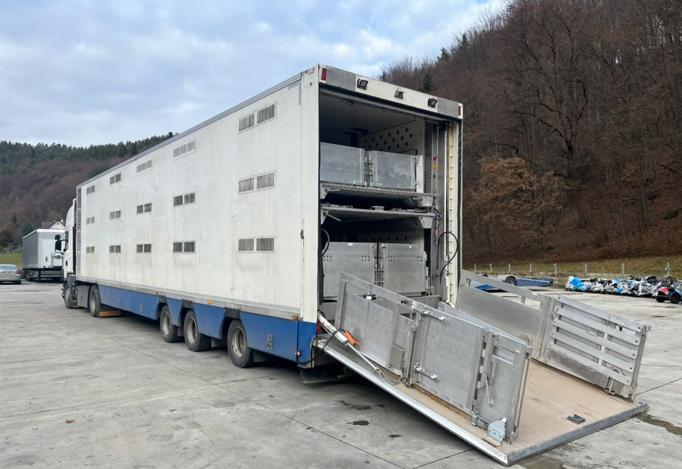 Pezzaioli HMK Industri // Do przewozu zwierząt // 2004 Rok // 3 Pokłady // Waga // Osi skrętne // Oznonacja // - Veewagen oplegger: afbeelding 1 Pezzaioli HMK Industri // Do przewozu zwierząt // 2004 Rok // 3 Pokłady // Waga // Osi skrętne // Oznonacja // - Veewagen oplegger: afbeelding 1