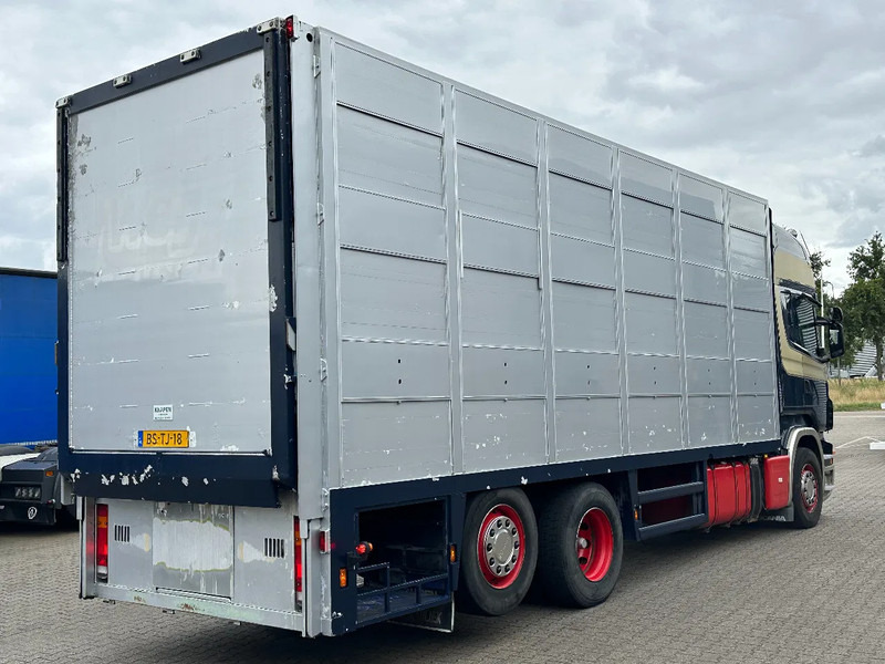 Scania R420 6x2 Topline / 3 Stock Animal Transport / Retarder / Euro 5 - Veewagen vrachtwagen: afbeelding 3 Scania R420 6x2 Topline / 3 Stock Animal Transport / Retarder / Euro 5 - Veewagen vrachtwagen: afbeelding 3