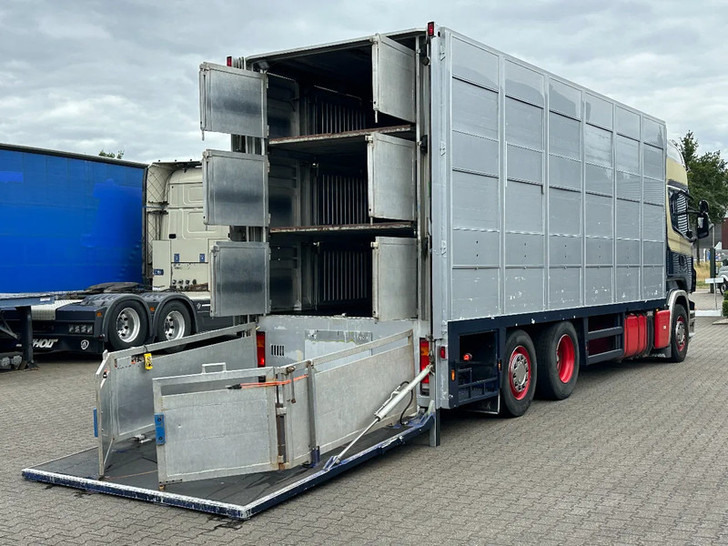 Scania R420 6x2 Topline / 3 Stock Animal Transport / Retarder / Euro 5 - Veewagen vrachtwagen: afbeelding 5 Scania R420 6x2 Topline / 3 Stock Animal Transport / Retarder / Euro 5 - Veewagen vrachtwagen: afbeelding 5