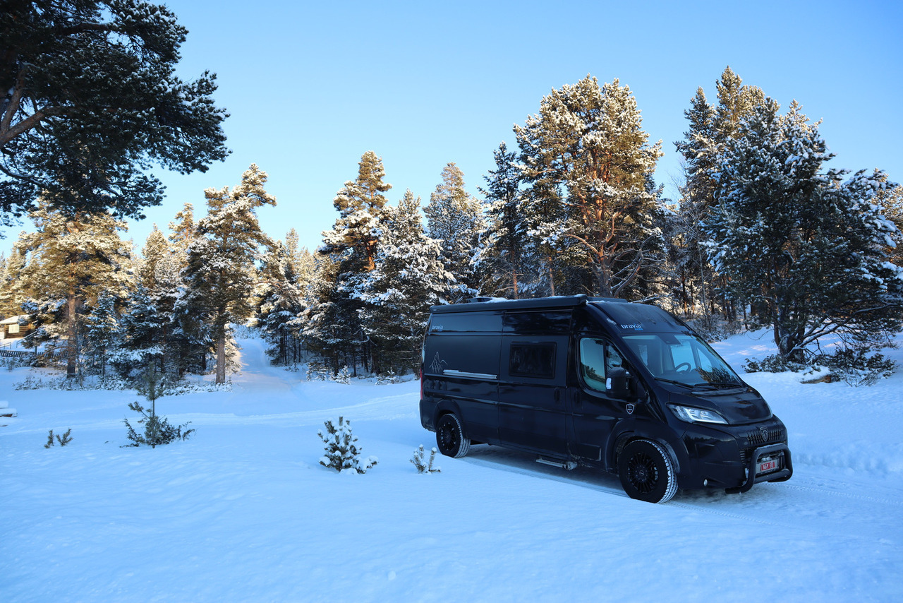 Bravia Swan 599 Nordic - Buscamper: afbeelding 1 Bravia Swan 599 Nordic - Buscamper: afbeelding 1