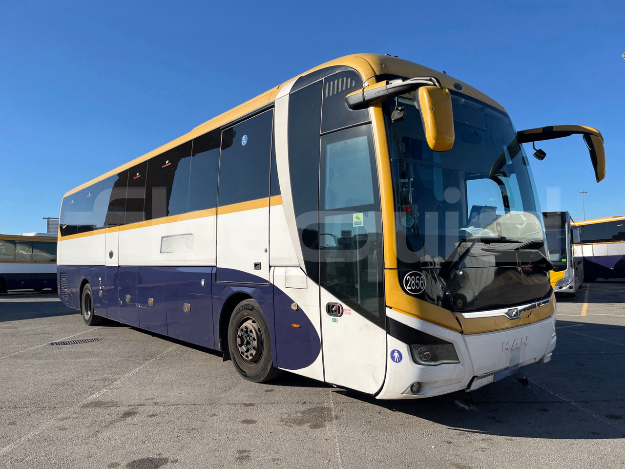 Man Lion's Coach - Touringcar: afbeelding 1 Man Lion's Coach - Touringcar: afbeelding 1