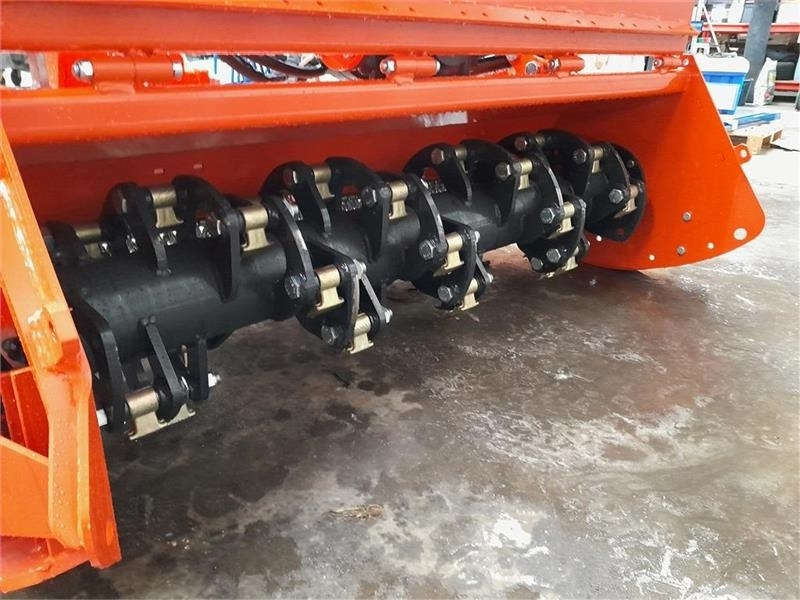 - - - boxer - Bosfrees: afbeelding 5 - - - boxer - Bosfrees: afbeelding 5