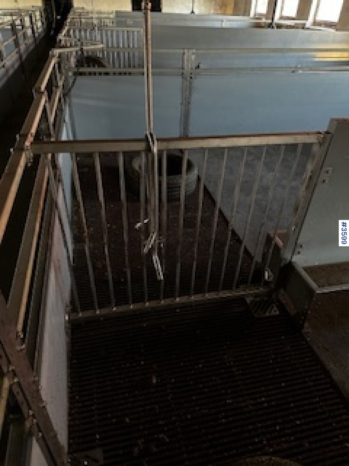 Veeteelt materiaal WEDG Pig House interior!: afbeelding 8
