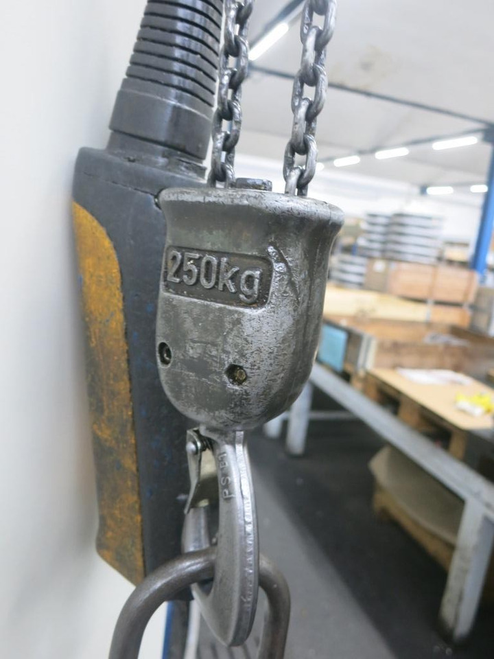 Demag 250 kg - Kraan: afbeelding 3 Demag 250 kg - Kraan: afbeelding 3