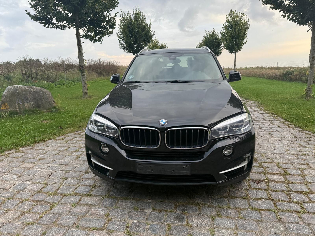 BMW X5 Baureihe X5 xDrive 30 d *21 000€ netto - SUV: afbeelding 5 BMW X5 Baureihe X5 xDrive 30 d *21 000€ netto - SUV: afbeelding 5