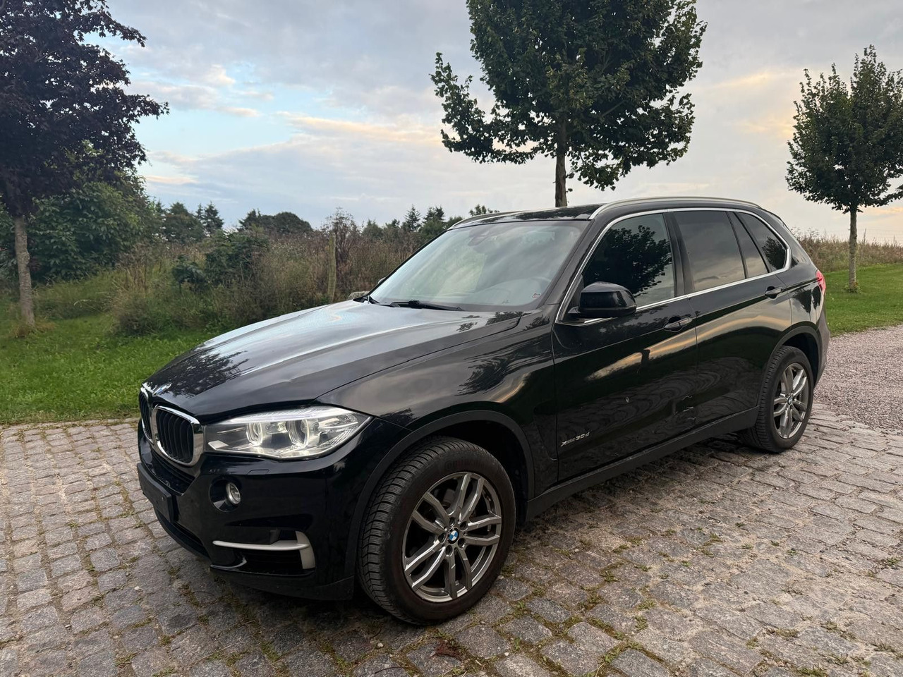 BMW X5 Baureihe X5 xDrive 30 d *21 000€ netto - SUV: afbeelding 4 BMW X5 Baureihe X5 xDrive 30 d *21 000€ netto - SUV: afbeelding 4