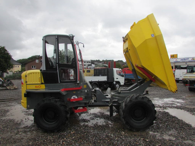 WACKER NEUSON DW 60 Dumper 32.500 EUR - Kiepwagen: afbeelding 5 WACKER NEUSON DW 60 Dumper 32.500 EUR - Kiepwagen: afbeelding 5
