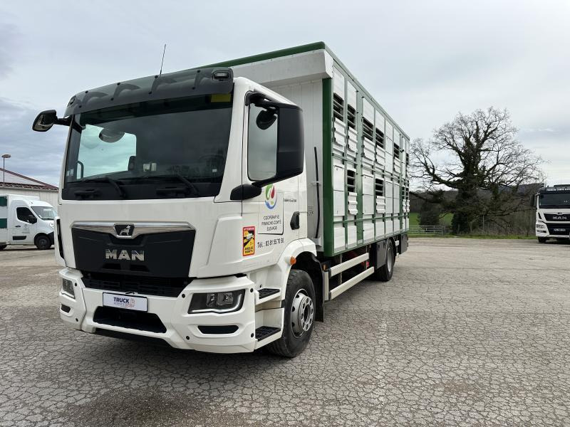 MAN M 90 15.290 TGM - Veewagen vrachtwagen: afbeelding 1 MAN M 90 15.290 TGM - Veewagen vrachtwagen: afbeelding 1