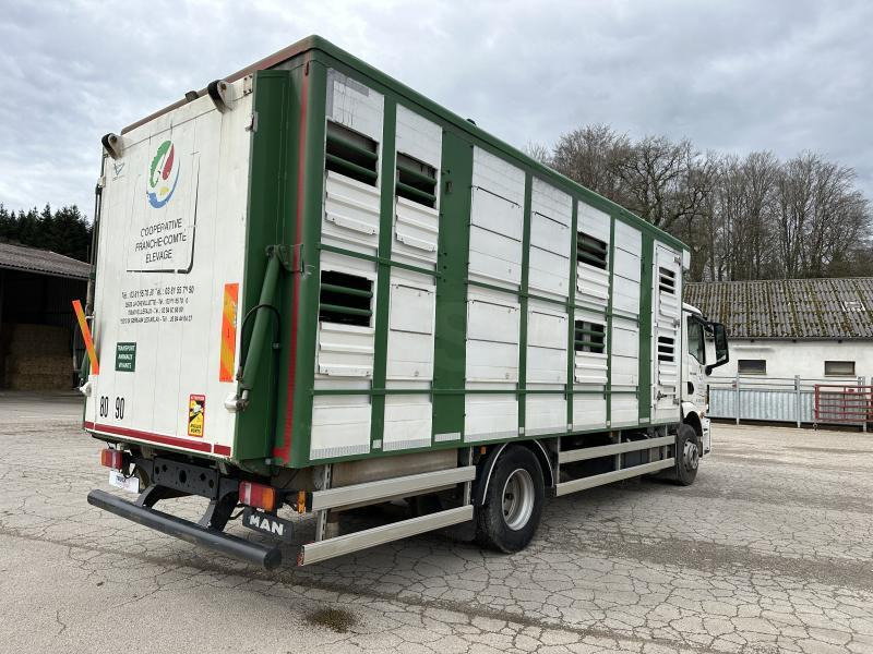 MAN M 90 15.290 TGM - Veewagen vrachtwagen: afbeelding 5 MAN M 90 15.290 TGM - Veewagen vrachtwagen: afbeelding 5