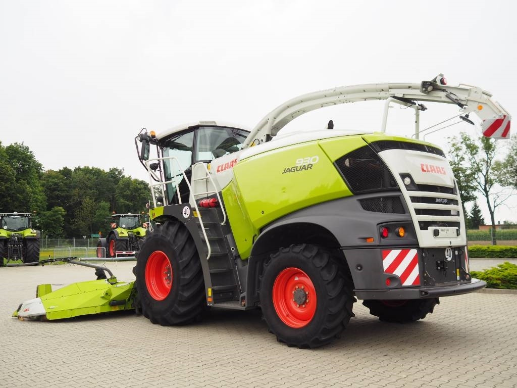 Claas Jaguar 930 + Orbis 600 SD - Hakselaar: afbeelding 2 Claas Jaguar 930 + Orbis 600 SD - Hakselaar: afbeelding 2