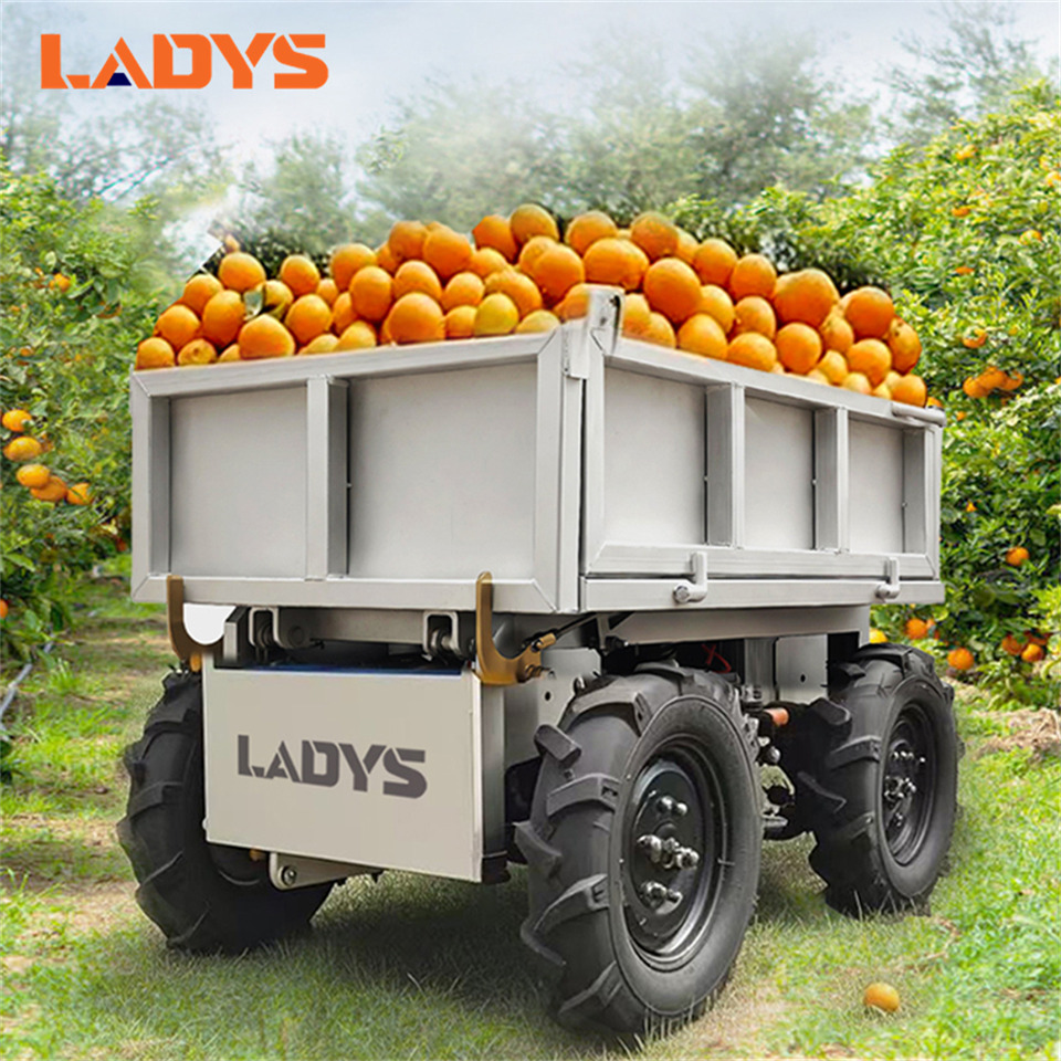 LADYS Electric Remote Control Transporter Agricultural Orchard Farm Electric Utv Material Handling Equipment All Terrain Transport Vehicle - Quad: afbeelding 1 LADYS Electric Remote Control Transporter Agricultural Orchard Farm Electric Utv Material Handling Equipment All Terrain Transport Vehicle - Quad: afbeelding 1