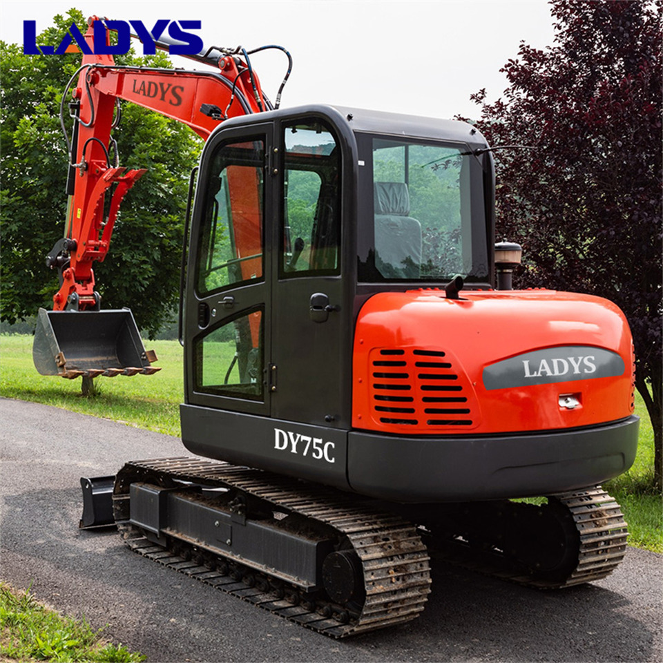 LADYS DY75C Small Excavator Euro 5/Epa Yanmar Engine Small Excavator Crawler Excavator For Sale - Rupsgraafmachine: afbeelding 5 LADYS DY75C Small Excavator Euro 5/Epa Yanmar Engine Small Excavator Crawler Excavator For Sale - Rupsgraafmachine: afbeelding 5