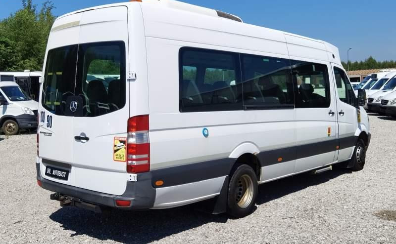 Streekbus Mercedes-Benz Sprinter 516 *2x klimatyzacja*webasto* Euro 5: afbeelding 14