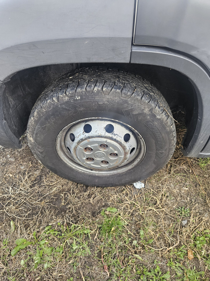 Leasing Fiat Ducato 10 Europallets Fiat Ducato 10 Europallets: afbeelding 10 Leasing Fiat Ducato 10 Europallets Fiat Ducato 10 Europallets: afbeelding 10