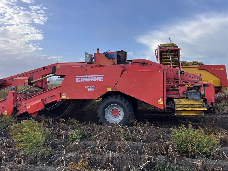 Grimme GV 3000 - Aardappelrooier: afbeelding 3 Grimme GV 3000 - Aardappelrooier: afbeelding 3