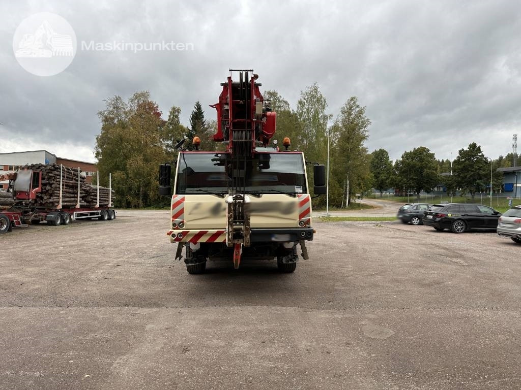 Terex TC 45 L - Alle terrein kraan: afbeelding 5 Terex TC 45 L - Alle terrein kraan: afbeelding 5
