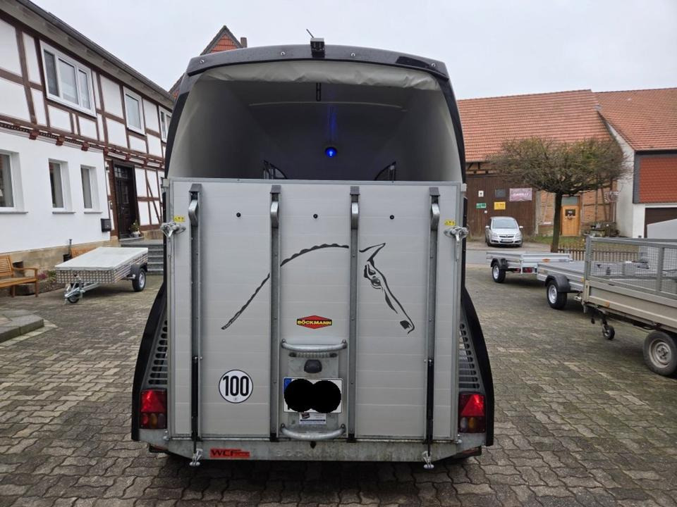 Böckmann Pferdeanhänger Champion R SaKa. WCF-Fahrwerk 100 km/h - Paardentrailer: afbeelding 3 Böckmann Pferdeanhänger Champion R SaKa. WCF-Fahrwerk 100 km/h - Paardentrailer: afbeelding 3