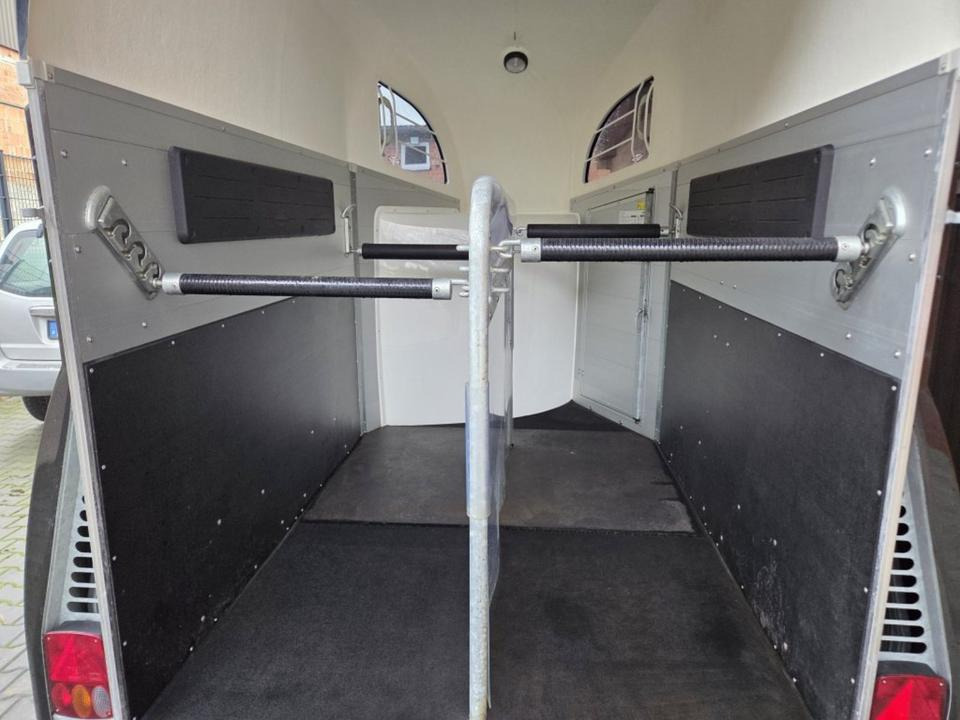 Böckmann Pferdeanhänger Champion R SaKa. WCF-Fahrwerk 100 km/h - Paardentrailer: afbeelding 5 Böckmann Pferdeanhänger Champion R SaKa. WCF-Fahrwerk 100 km/h - Paardentrailer: afbeelding 5