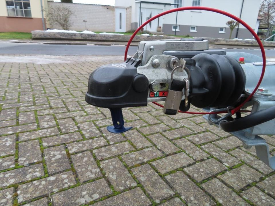 Paardentrailer Böckmann Pferdeanhänger Portax SKA 2025 WCF Fenster links/ rechts: afbeelding 18